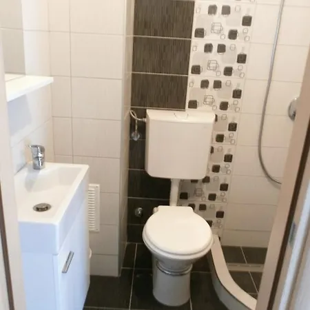 Apartment Bora Liznjan